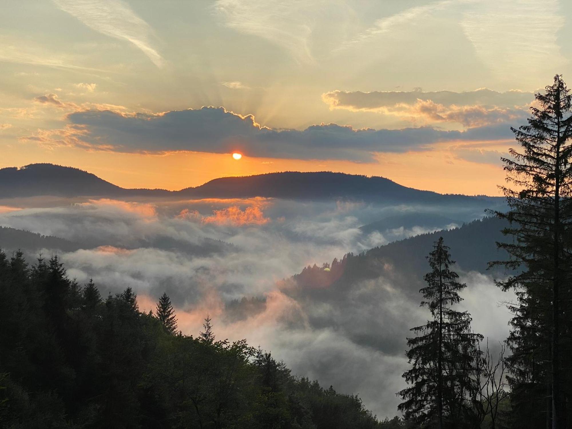 Landeckhof Villa Oberwolfach Eksteriør bilde