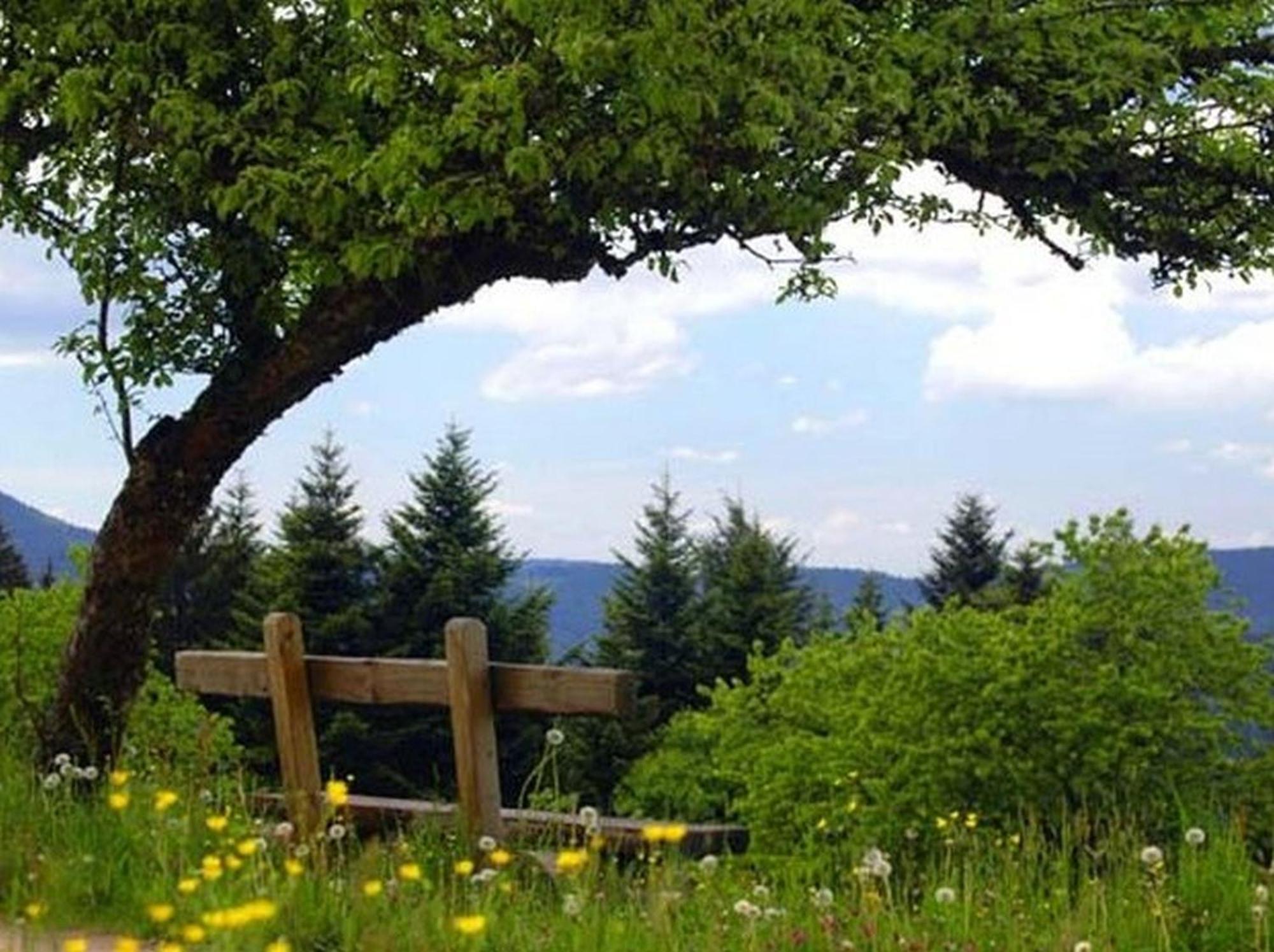 Landeckhof Villa Oberwolfach Eksteriør bilde